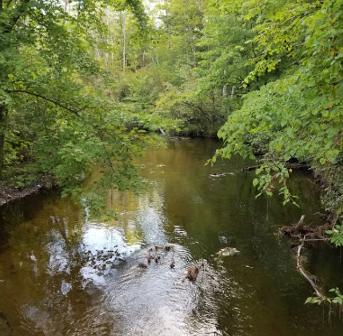 Baldwin Creek Lodge (Baldwin Creek Motel) - From Web Listing (newer photo)
